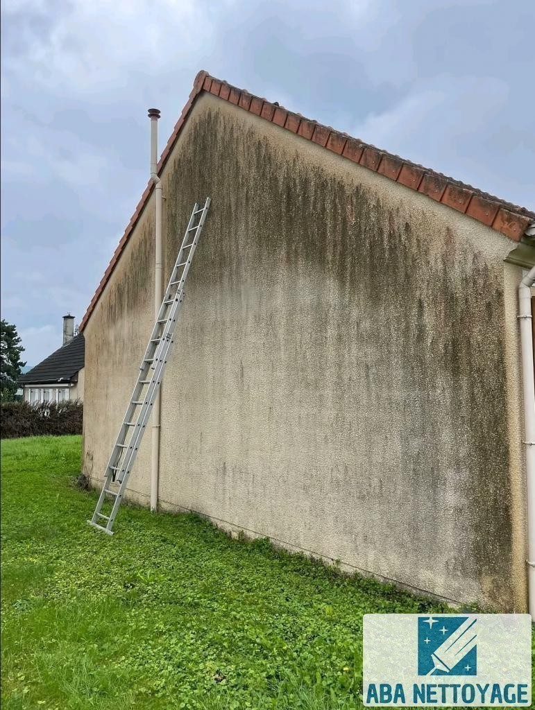 Mur de façade couvert de mousses et de traces noires, avant nettoyage