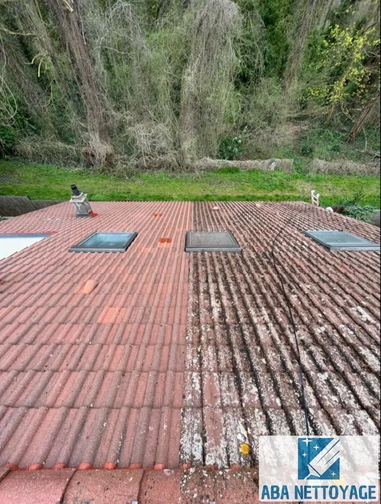 Toiture en tuiles avec mousses et lichens, en cours de nettoyage